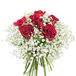 Bathed in soft daylight, this stunning hand-crafted bouquet brings to mind the vibrant community of Brent-where tradition and contemporary spirit meet daily. Dominating the arrangement are six deep red roses, their petals velvety and richly spiraled, offering a sense of drama and intensity. These romantic blooms are nestled within a generous expanse of pure white baby's breath, creating a sea of tiny, star-like flowers that impart a sense of volume and playful contrast. The green stems are elegantly bundled, a hallmark of a local florist's skilled hands, fresh from morning selections at a North Wembley market. The visual effect is captivating: crimson and white interplay to evoke themes of love, honesty, and new beginnings. Subtle hints of green add vibrant energy, while the delicate fragrance of rose lingers subtly, reminiscent of quiet moments along the Brent Reservoir. Designed for meaningful milestones or simply to brighten a loved one's day, this bouquet exudes classic charm and heartfelt sentiment, enriching any Brent gathering or celebration.